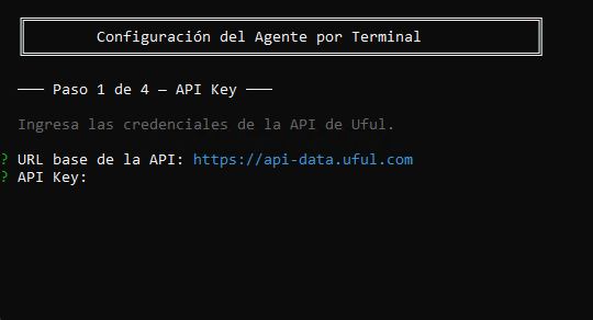 Paso API Key en terminal