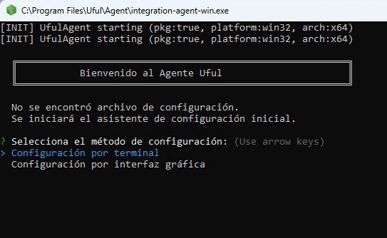 Pantalla de bienvenida del asistente en consola