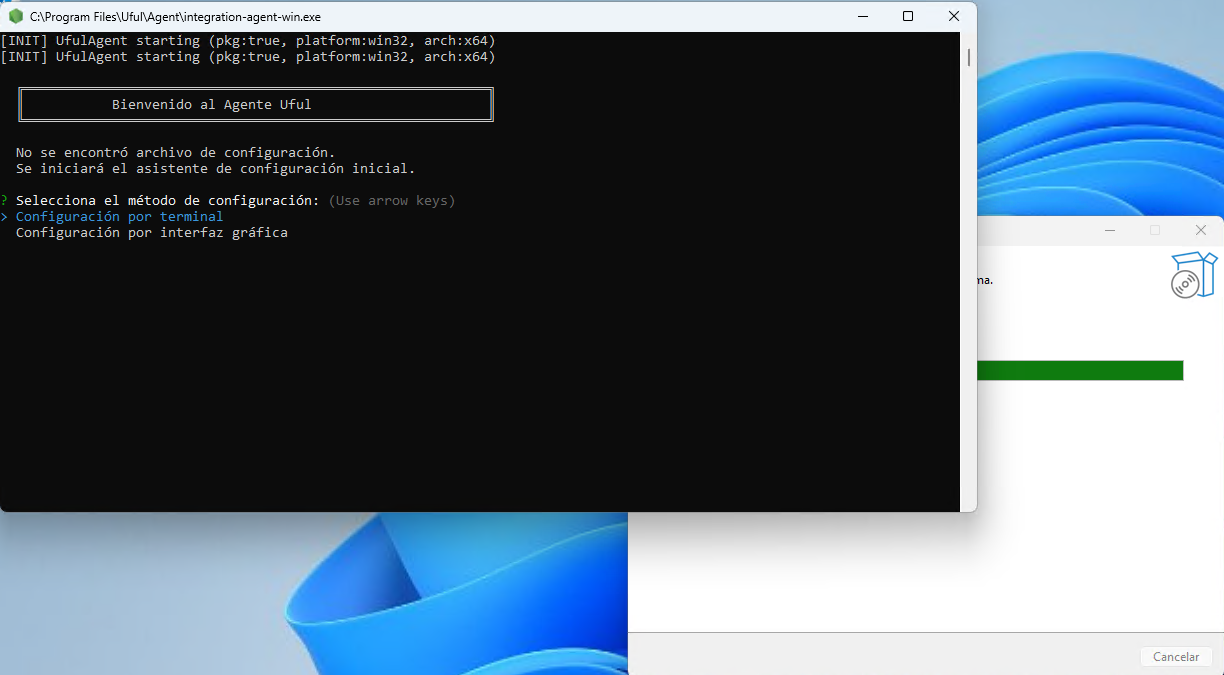Progreso de instalación y ventana de comandos